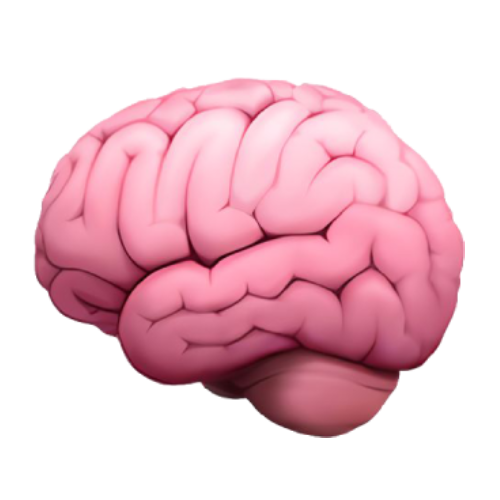 Feature Icon